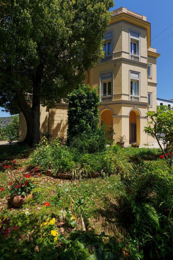 Villa Preziosa Al Pizzo 3 Km Da Sorrento Sant'Agnello Eksteriør billede