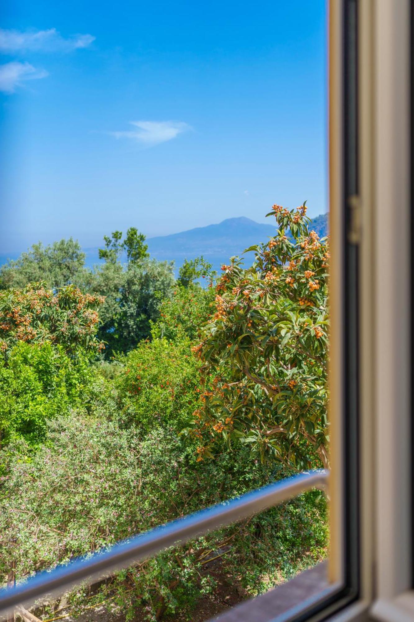 Villa Preziosa Al Pizzo 3 Km Da Sorrento Sant'Agnello Eksteriør billede